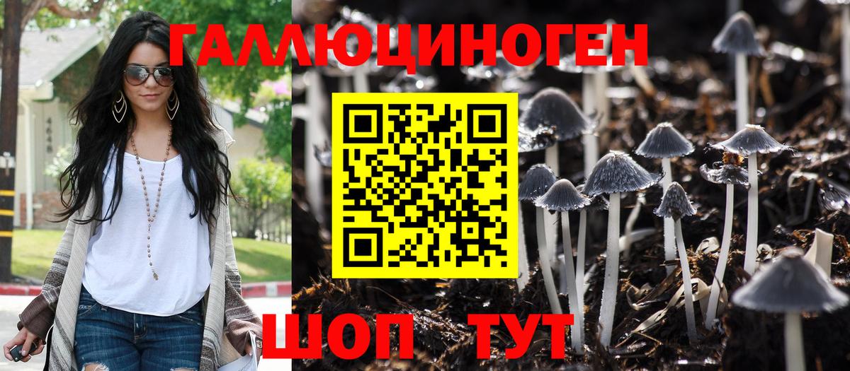 COCAIN  Марихуана  Codein  ГАШИШ  Вход с VPN  Сегежа  Бошки Шишки  Меф МЯУ МЯУ кристаллы 