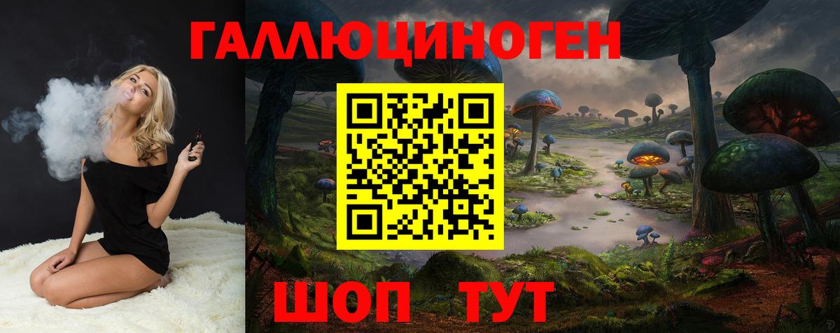 Псилоцибиновые грибы Cubensis Сегежа
