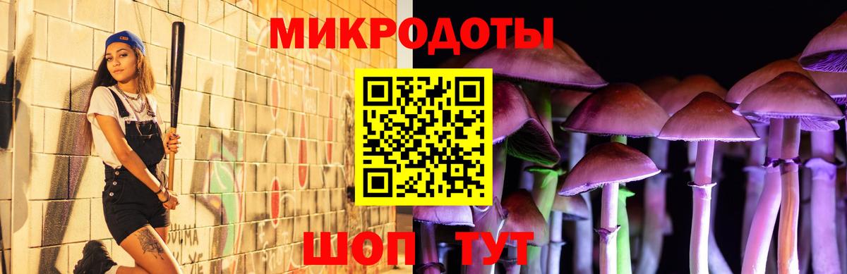 Псилоцибиновые грибы ЛСД  Вход с VPN  Галлюциногенные грибы Psilocybe  Сегежа 